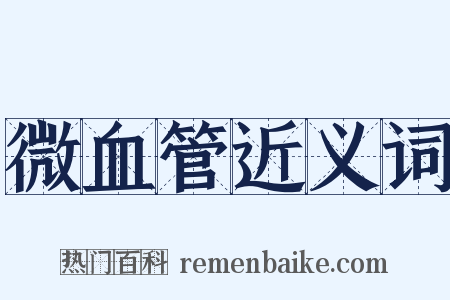 微血管近义词是什么意思的图片